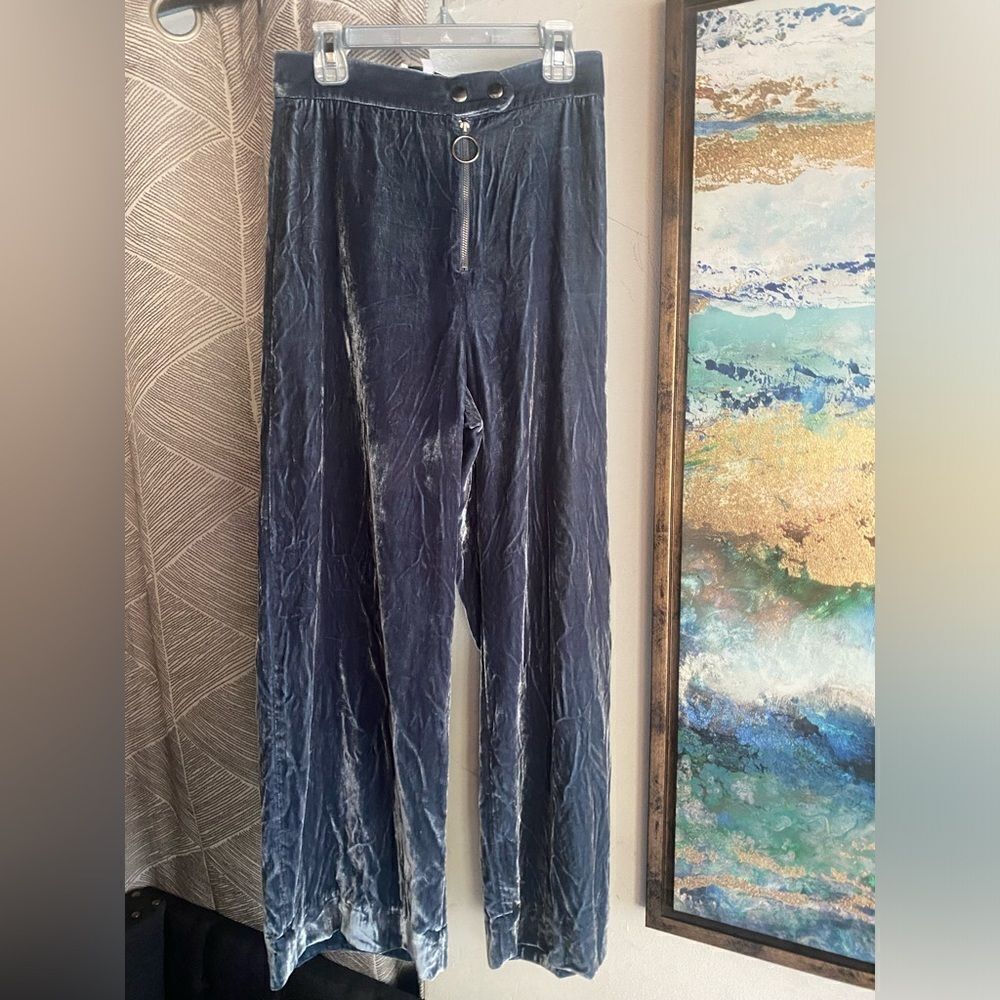 & Other Stories Pants Womens SZ 4 Gray Silver Visible Zip Velvet Buttons